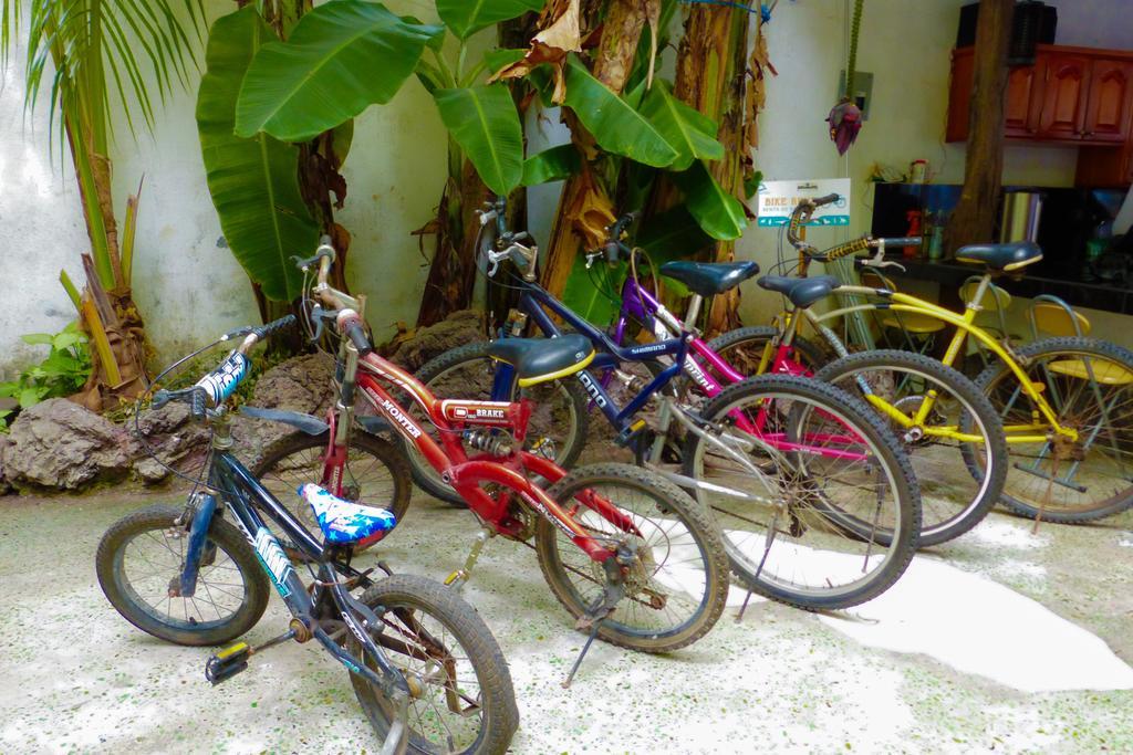 Hotel Coloma Galapagos Puerto Ayora  Ngoại thất bức ảnh