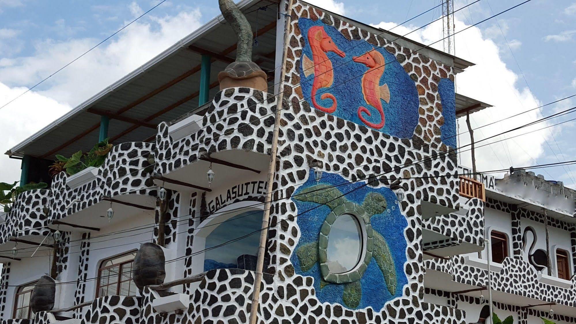 Hotel Coloma Galapagos Puerto Ayora  Ngoại thất bức ảnh